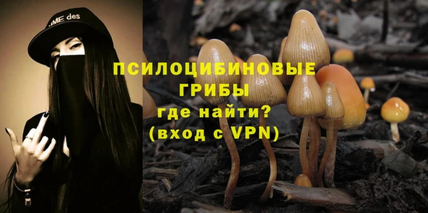 mdpv Бугульма