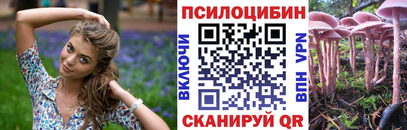 мориарти официальный сайт  Находка  Галлюциногенные грибы Psilocybine cubensis 